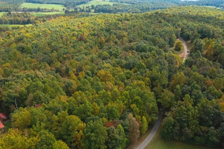 Land for Sale in Meadows of Dan VA! - image 1