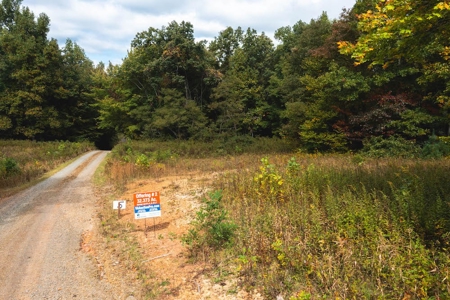 Land for Sale in Meadows of Dan VA! - image 7