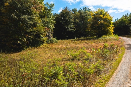 Land for Sale in Meadows of Dan VA! - image 5