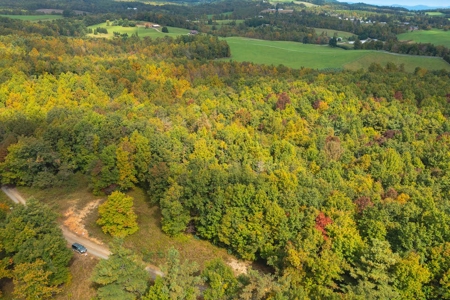 Land for Sale in Meadows of Dan VA! - image 3