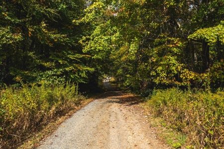 Land for Sale in Meadows of Dan VA! - image 4