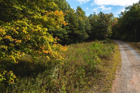 Land for Sale in Meadows of Dan VA! - image 6