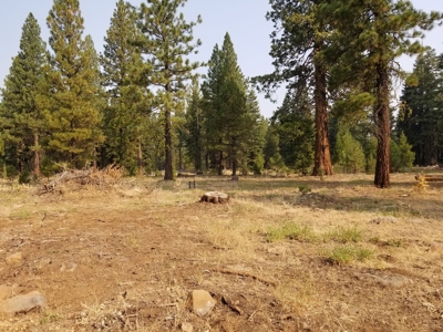 Mountain Retreat In Northern, CA - image 24