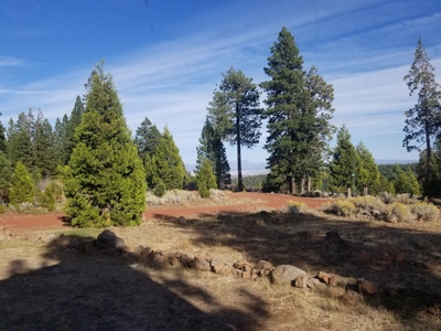 Mountain Retreat In Northern, CA - image 16