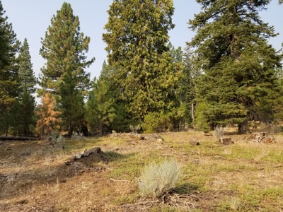 Mountain Retreat In Northern, CA - image 25