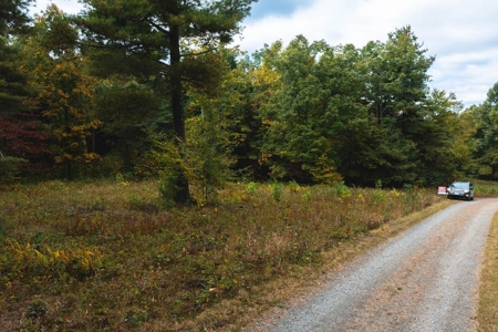 Land for Sale with Creek Frontage in Meadows of Dan VA - image 9
