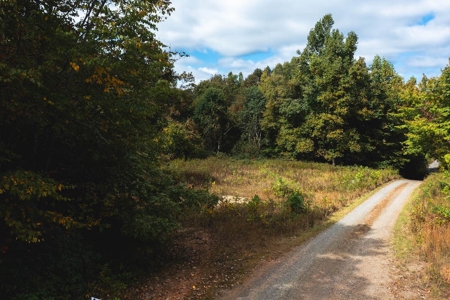 Land for Sale with Creek Frontage in Meadows of Dan VA - image 10