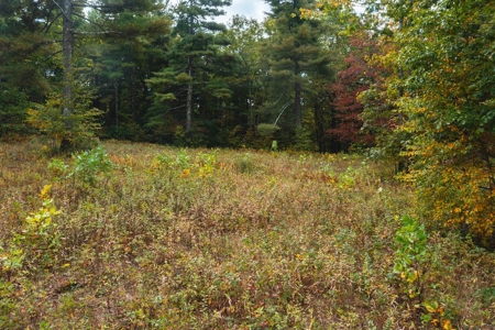 Land for Sale with Creek Frontage in Meadows of Dan VA - image 7