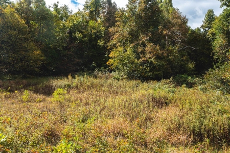 Land for Sale with Creek Frontage in Meadows of Dan VA - image 11