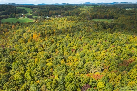 Land for Sale with Creek Frontage in Meadows of Dan VA - image 5
