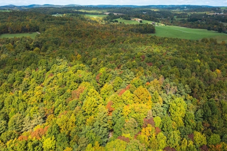 Land for Sale with Creek Frontage in Meadows of Dan VA - image 6