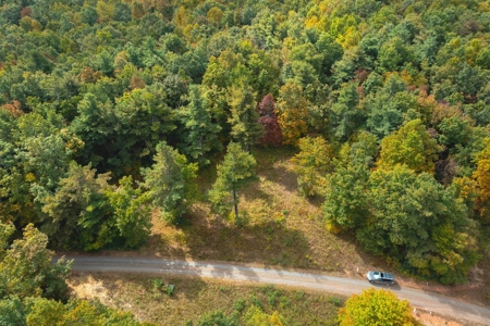 Land for Sale with Creek Frontage in Meadows of Dan VA - image 3