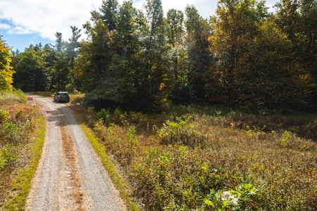 Land for Sale with Creek Frontage in Meadows of Dan VA - image 12