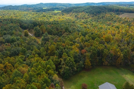 Land for Sale with Creek Frontage in Meadows of Dan VA - image 2