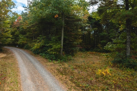 Land for Sale with Creek Frontage in Meadows of Dan VA - image 8