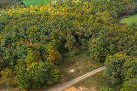 Land for Sale with Creek Frontage in Meadows of Dan VA - image 4