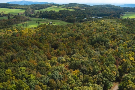 Wooded Acreage for Sale in Meadows of Dan VA - image 1