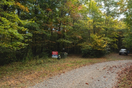 Wooded Acreage for Sale in Meadows of Dan VA - image 2