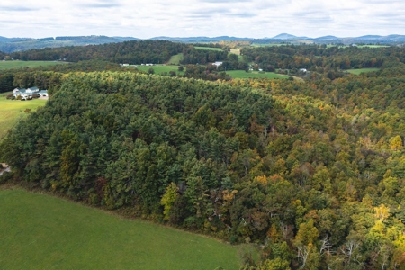 Land with Stream for Sale in Patrick County VA! - image 3