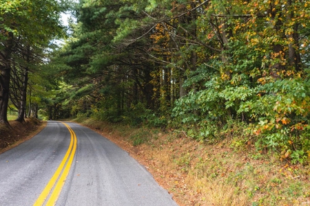Land with Stream for Sale in Patrick County VA! - image 7