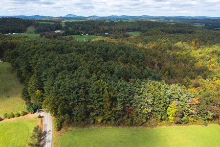 Land with Stream for Sale in Patrick County VA! - image 2
