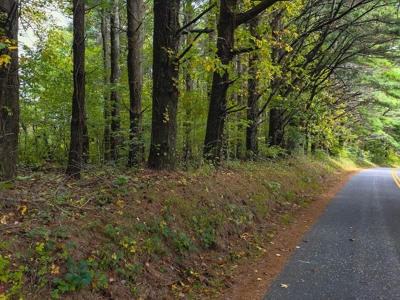 Land with Stream for Sale in Patrick County VA! - image 11