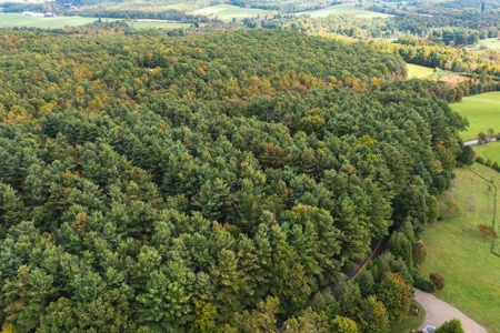 Land with Stream for Sale in Patrick County VA! - image 6