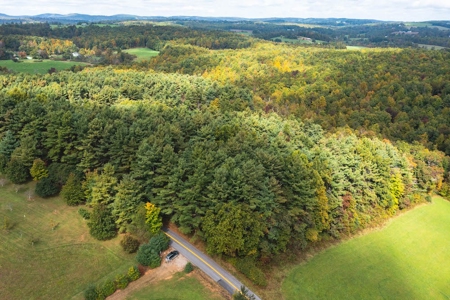 Land with Stream for Sale in Patrick County VA! - image 1