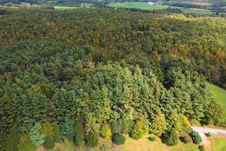 Land with Stream for Sale in Patrick County VA! - image 4