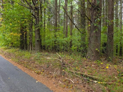 Land with Stream for Sale in Patrick County VA! - image 12