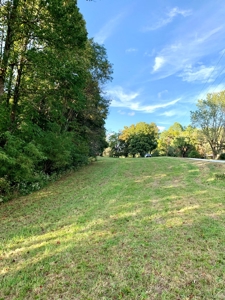 BM Billingsley Lane Gainesboro TN Land for sale - image 9