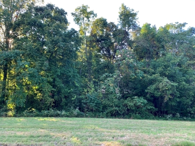 BM Billingsley Lane Gainesboro TN Land for sale - image 10