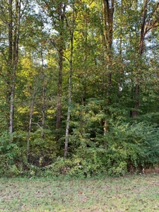 BM Billingsley Lane Gainesboro TN Land for sale - image 8
