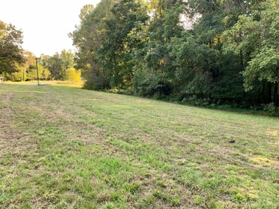 BM Billingsley Lane Gainesboro TN Land for sale - image 2
