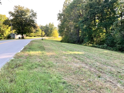 BM Billingsley Lane Gainesboro TN Land for sale - image 3