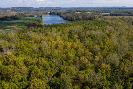 Hunting & Recreational Acreage for Sale in Maury County, TN - image 11