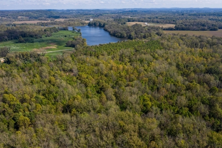 Hunting & Recreational Acreage for Sale in Maury County, TN - image 1