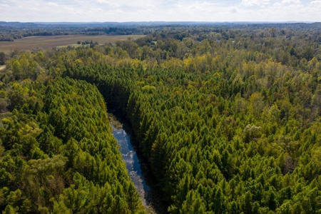 Hunting & Recreational Acreage for Sale in Maury County, TN - image 7