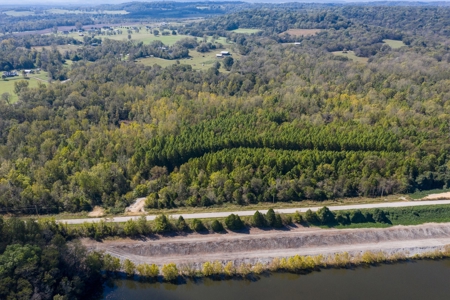 Hunting & Recreational Acreage for Sale in Maury County, TN - image 3