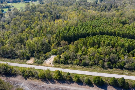 Hunting & Recreational Acreage for Sale in Maury County, TN - image 2