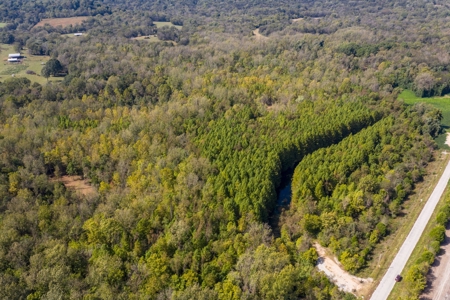 Hunting & Recreational Acreage for Sale in Maury County, TN - image 4