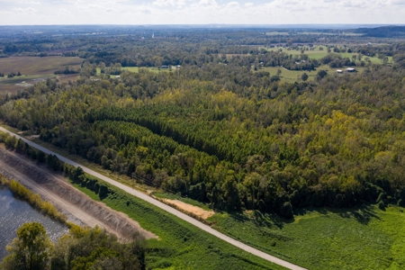 Hunting & Recreational Acreage for Sale in Maury County, TN - image 6