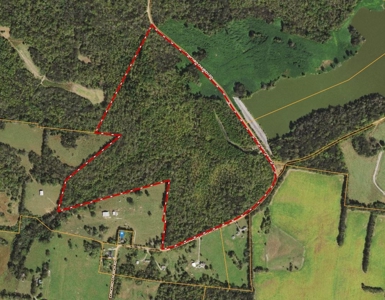 Hunting & Recreational Acreage for Sale in Maury County, TN - image 14