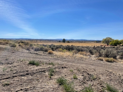 .373 acre vacant lot in town of Alturas, Ca - image 2