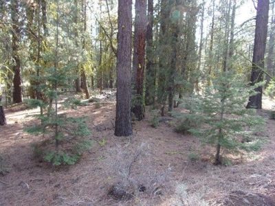 3.68 Acres Off the Grid in Modoc County - image 6