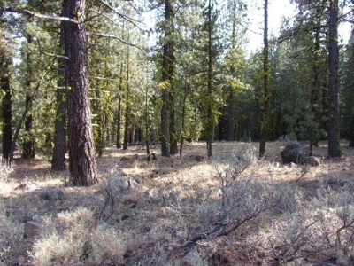 3.68 Acres Off the Grid in Modoc County - image 7