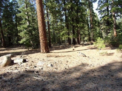 3.68 Acres Off the Grid in Modoc County - image 5