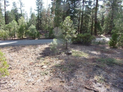 3.68 Acres Off the Grid in Modoc County - image 2