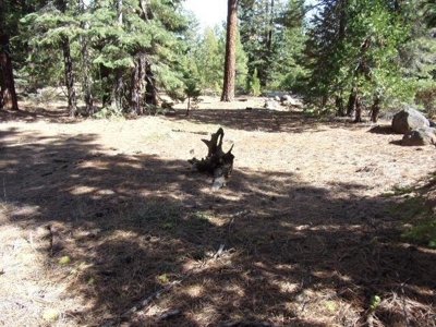 3.68 Acres Off the Grid in Modoc County - image 3