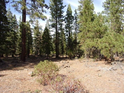 3.68 Acres Off the Grid in Modoc County - image 1
